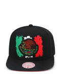 Mitchell & Ness Branded Eagle baseball cap